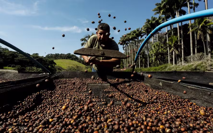 Café vai ficar mais barato? E frutas e carnes no Brasil? Entenda o impacto do tarifaço de Trump
