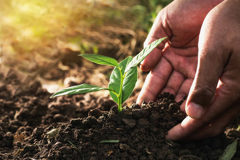 Seguro Safra beneficia 504 agricultores em Araruna com mais de R$ 604 mil em recursos