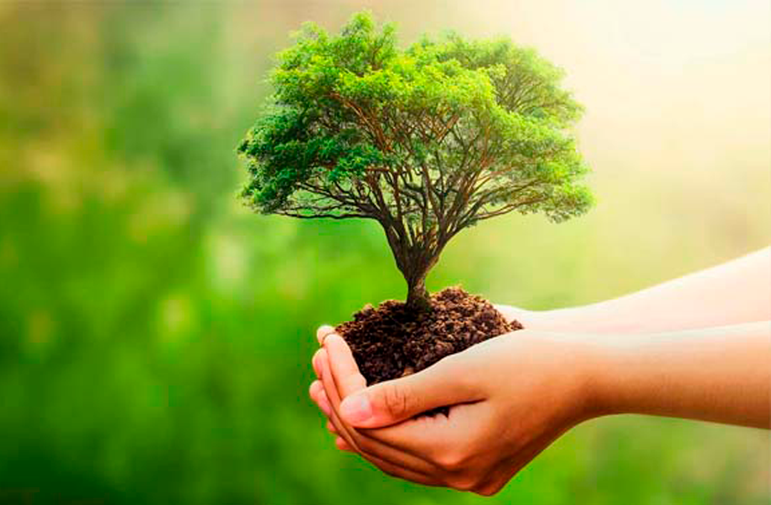 Governo do Estado realiza 5ª Conferência Estadual do Meio Ambiente