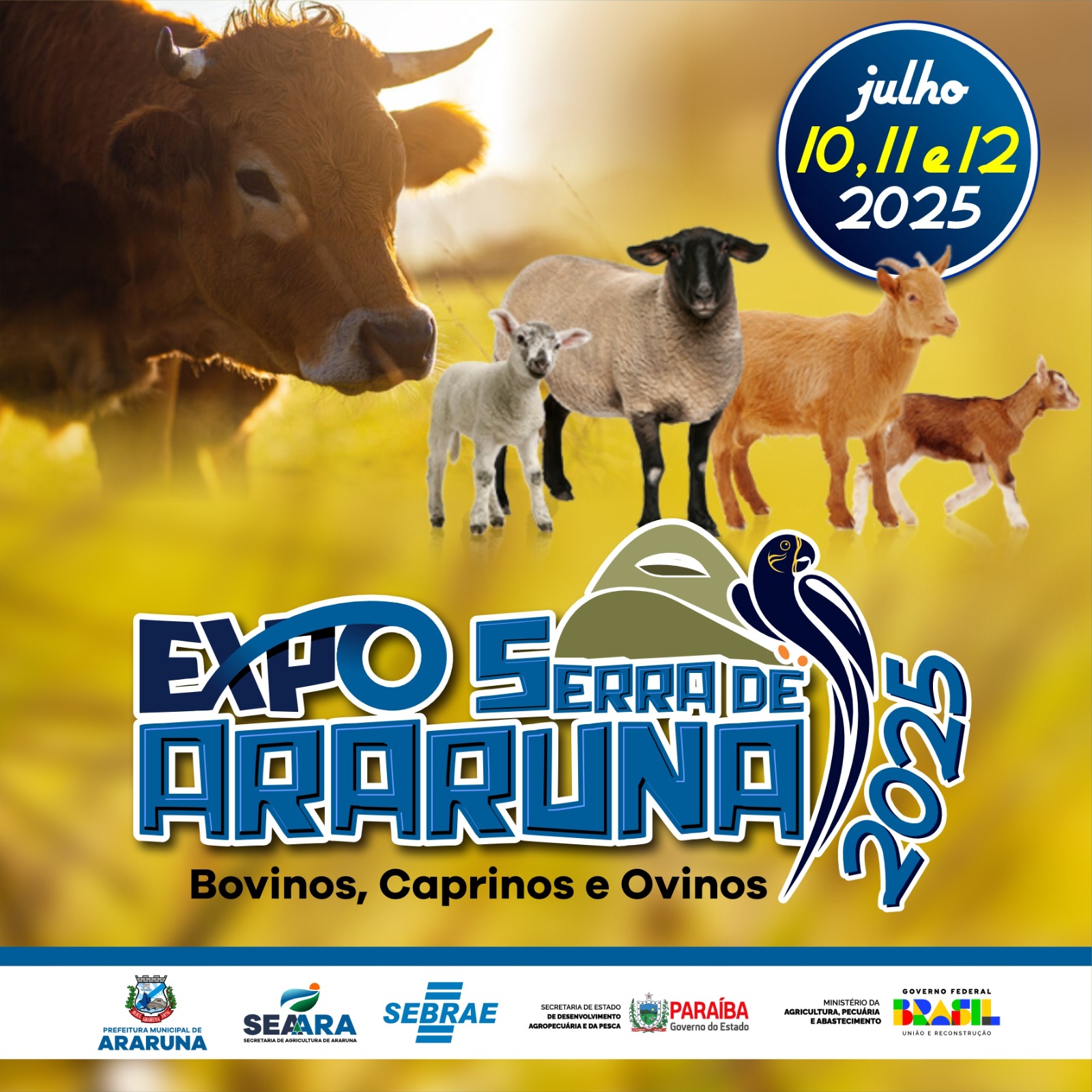 Prefeito Availdo Azevedo anuncia data da ExpoSerra de Araruna 2025