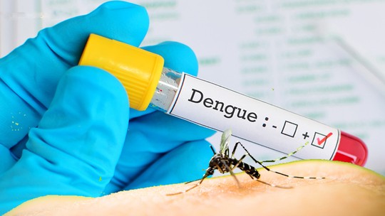 ALERTA: nova morte por suspeita de dengue é investigada na Paraíba