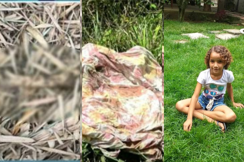 Caso Ana Sophia: osso e tecido com sangue são encontrados em mata de Bananeiras